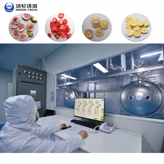 Équipement de lyophilisation de lyophilisateur de légumes de machine industrielle de déshydratation de fruit de légume